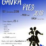 Plagát Gavra ples 2018